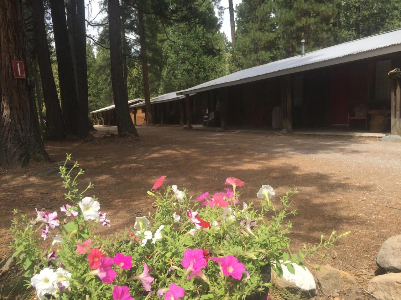 Sierra Sky Lodge Sloat Exterior foto